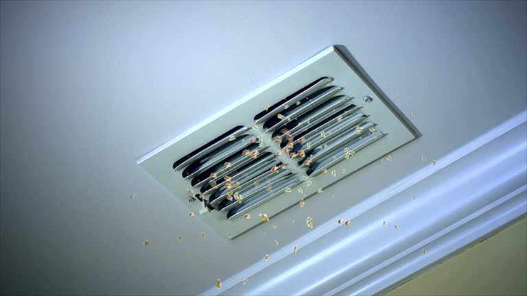 Best Professional Duct Cleaning Services  in Frent Hills, MO