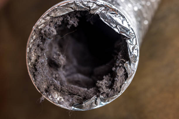 Best Air Duct Cleaning Cost  in Frent Hills, MO