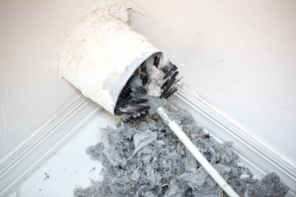 Best Local Air Duct Cleaning Services  in Frent Hills, MO